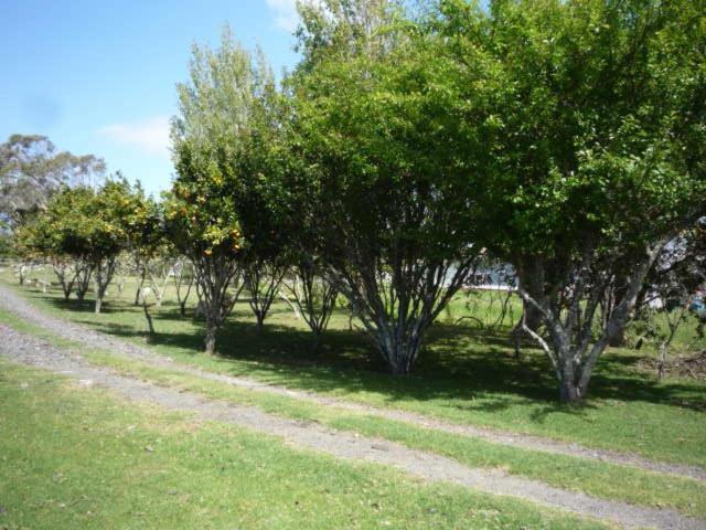 Blue House Villa Awanui ภายนอก รูปภาพ